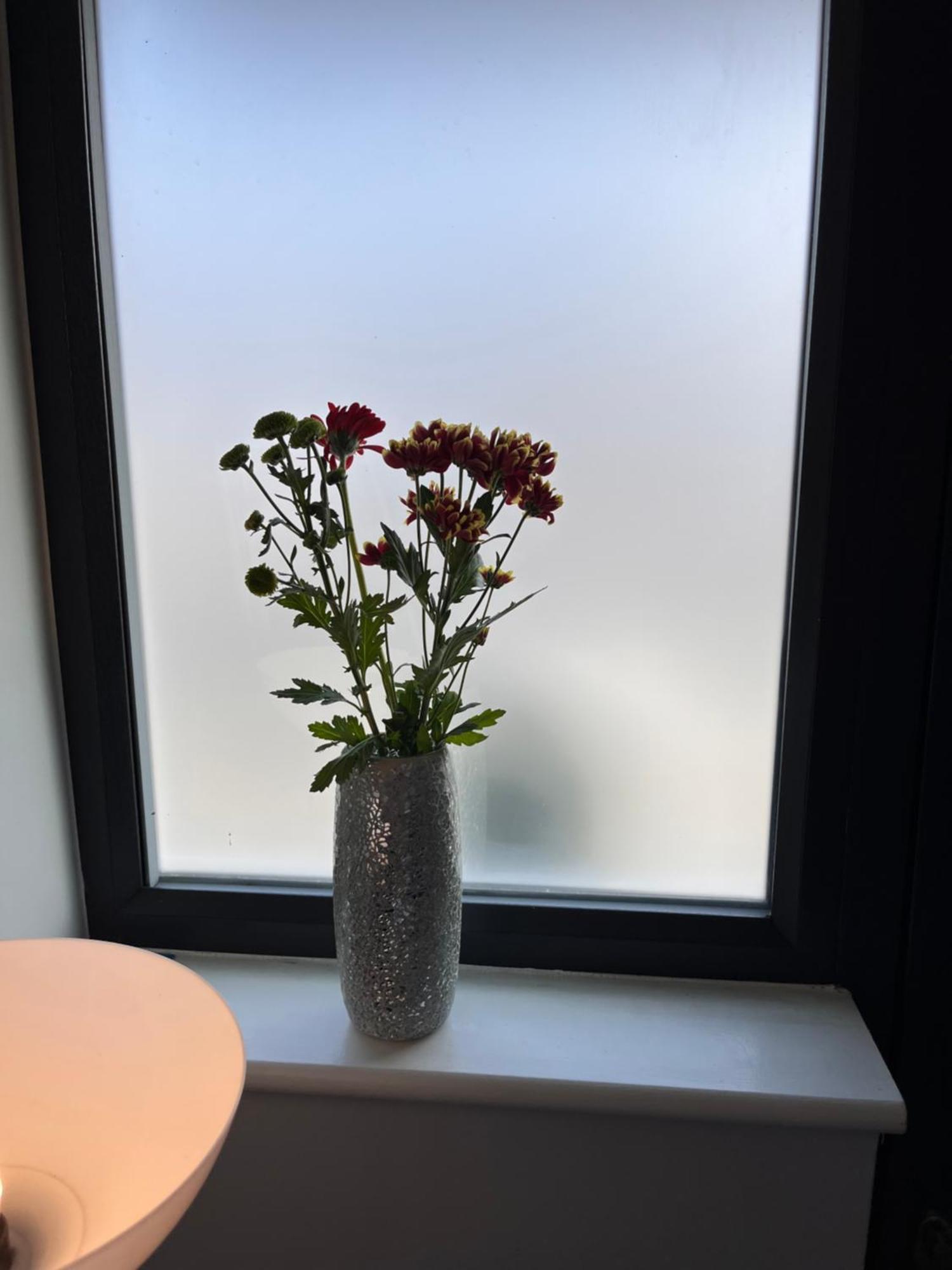 Home From Home Cosy B&B ロンドン エクステリア 写真
